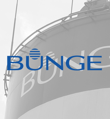 Bunge